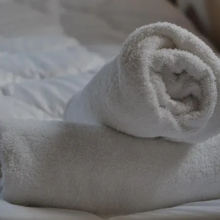 Vud Gornji Milanovac